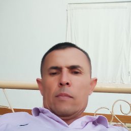 , 51, 