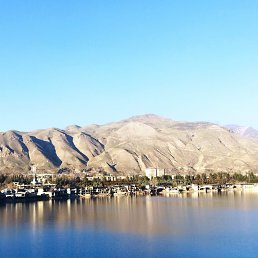 ���� ���, ���������, 26 ��� - ��������� 26 ������ 2024