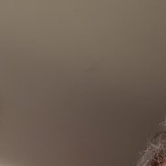 �����, 63 ����, ����