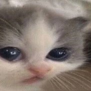 , 23 , -