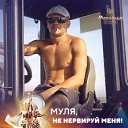 ���� ������, ����, 36 ��� - ��������� 13 ���� 2026 � ������ ���� ����������