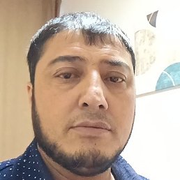 ����, �����-���������, 44 ����