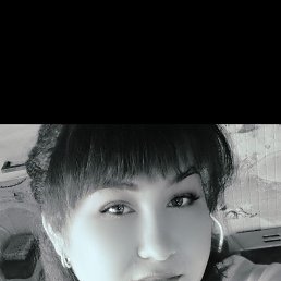 , 34, 