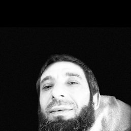 , 37, 