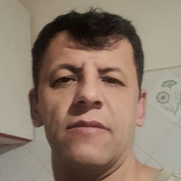 �����, ���������, 43 ����