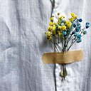 ���� ����, ������, 50 ��� - ��������� 29 ����� 2025 � ������ ���� ����������