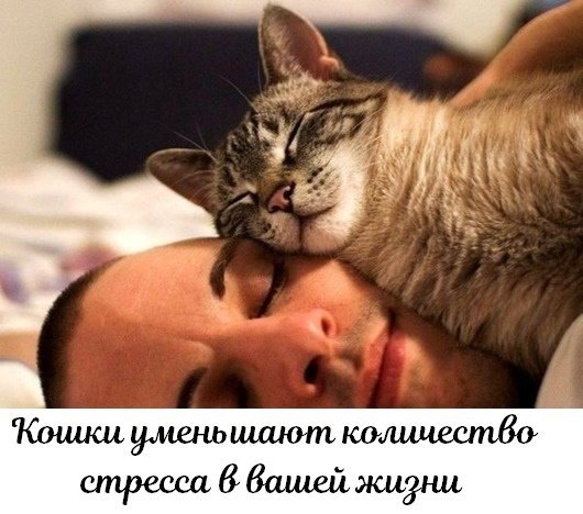 ��� ���� � ����� �� �� - 8 ��� 2026 � 12:55 - 3
