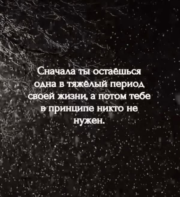  - 22  2025  20:08 - 4