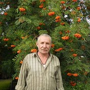 �������, 66 ���, �������