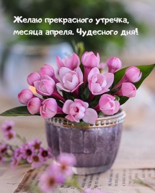  - 1  2025  06:48