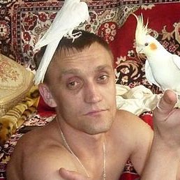 �������, ������-��-����, 43 ����