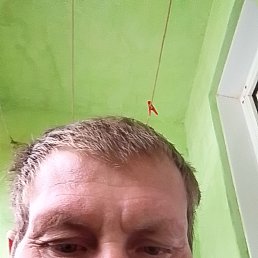 �������, 44 ����, �����