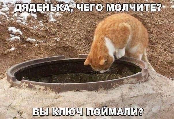   - 23  2025  10:23