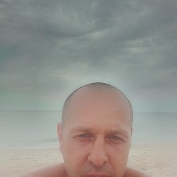 , 41, 
