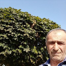 �������, ���������, 37 ���