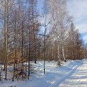 ���� ��������, ����, 74 ���� - ��������� 11 ������ 2025 � ������ ���� ����������