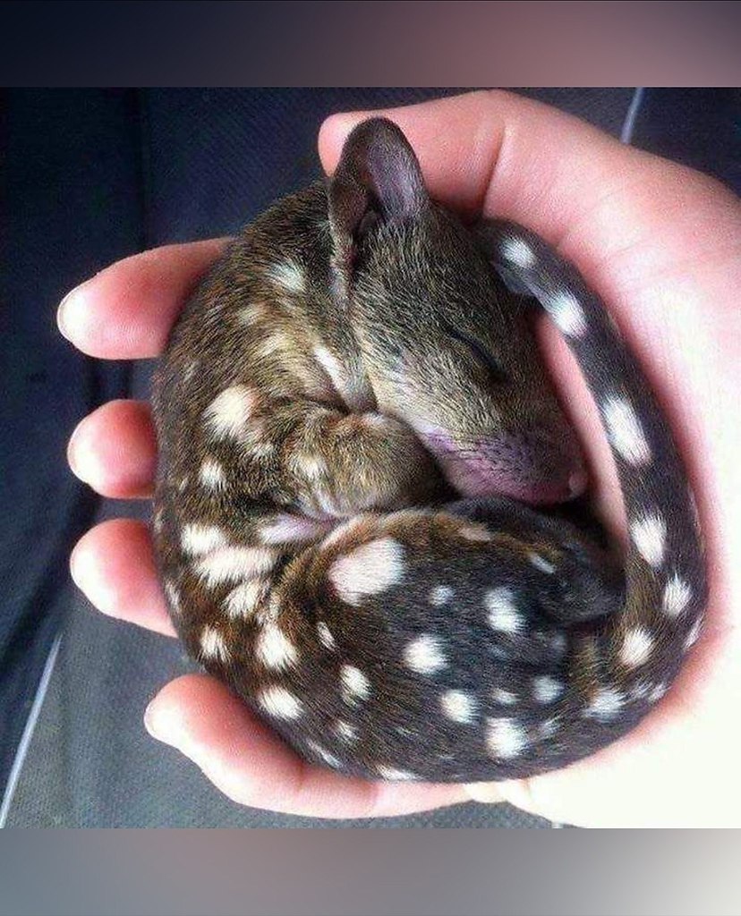 ��������� ����� � ���� �� ����� �������� ��������� �������� ���������. ��� ����� �������� �������� ... - 3