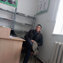 ���� �������, �����, 43 ���� - ��������� 5 ������ 2024