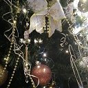 ���� ����, �����, 55 ��� - ��������� 1 ������ 2024 � ������ ���� ����������