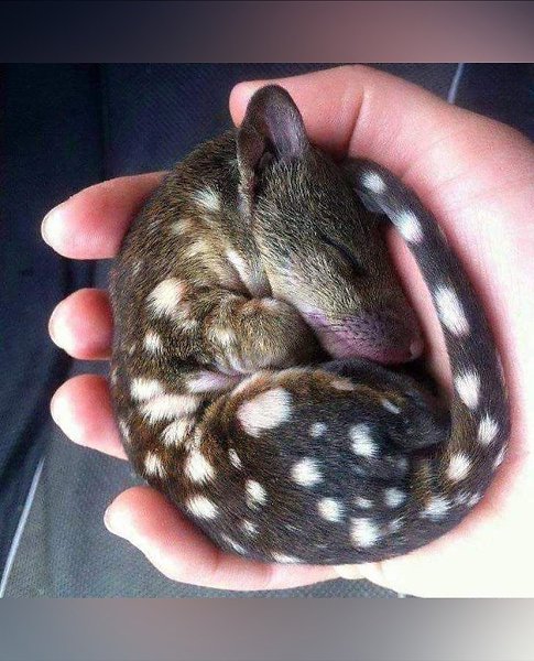 ��������� ����� � ���� �� ����� �������� ��������� �������� ���������. ��� ����� �������� �������� ... - 3