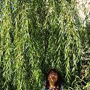 ���� ������@, ��������� - ��������� 20 ������� 2024 � ������ ������ ��������