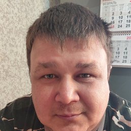 ����, 38 ���, ����������