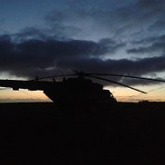 �������, 52 ����, ������