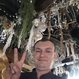 �����, 44 ����, ���������