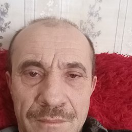 , 57, 