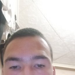 , 36, 