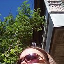 ���� ���������, ��������, 39 ��� - ��������� 27 ��� 2024 � ������ ���� ����������