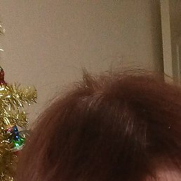 �������, ������������, 43 ����