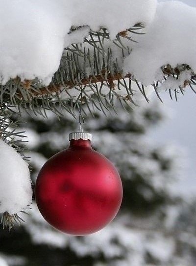 ����� � ������ - 3 ������ 2026 � 12:23 - 4