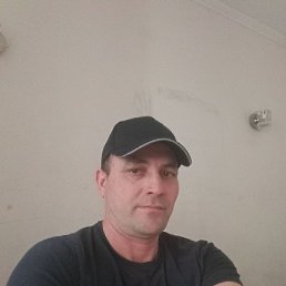 �����, �������, 41 ���