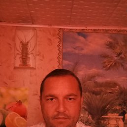 , 39 , --