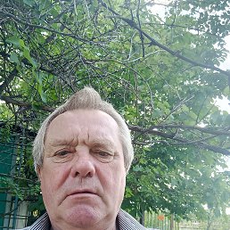 ���������, 66 ���, ����������