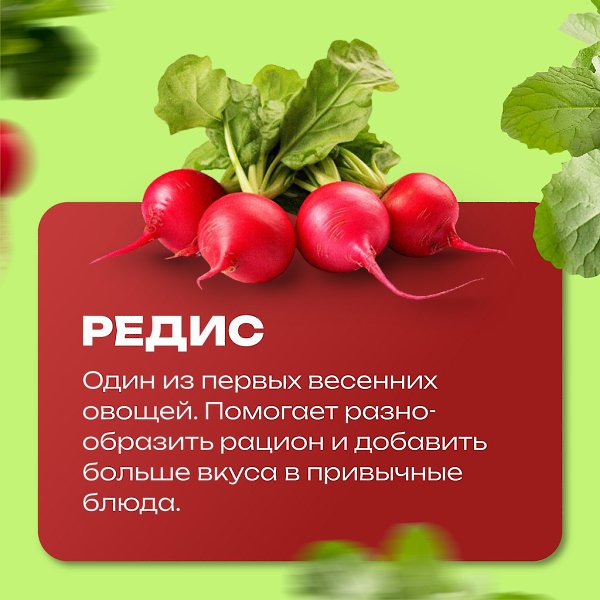 ���� � �o��e��e� �p��� �e ������� ���p���, ����� �� ��a���e � � ��p� c�o��� ���c����c�, ��������, ... - 3