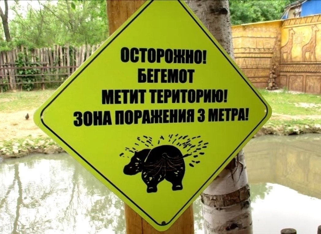 ������� �� ������ - 7