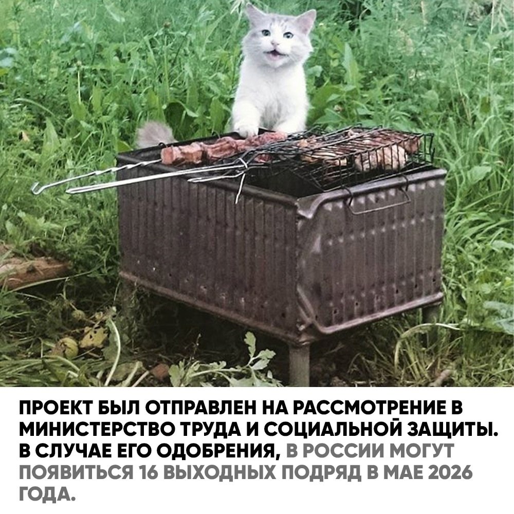    :      !  ... - 3