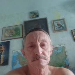 , 61, 