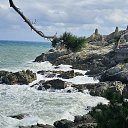 ���� ������, ������, 37 ��� - ��������� 12 ������� 2025 � ������ ���� ����������