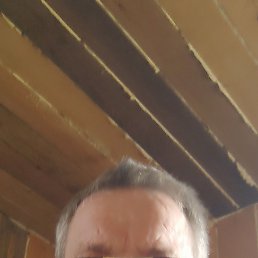 , 56,  