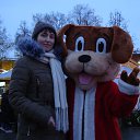 ���� ��������, ������ �������� - ��������� 13 ������ 2026 � ������ ���� ����������