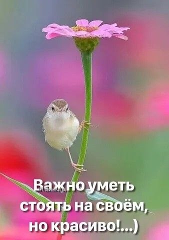   - 8  2025  04:44