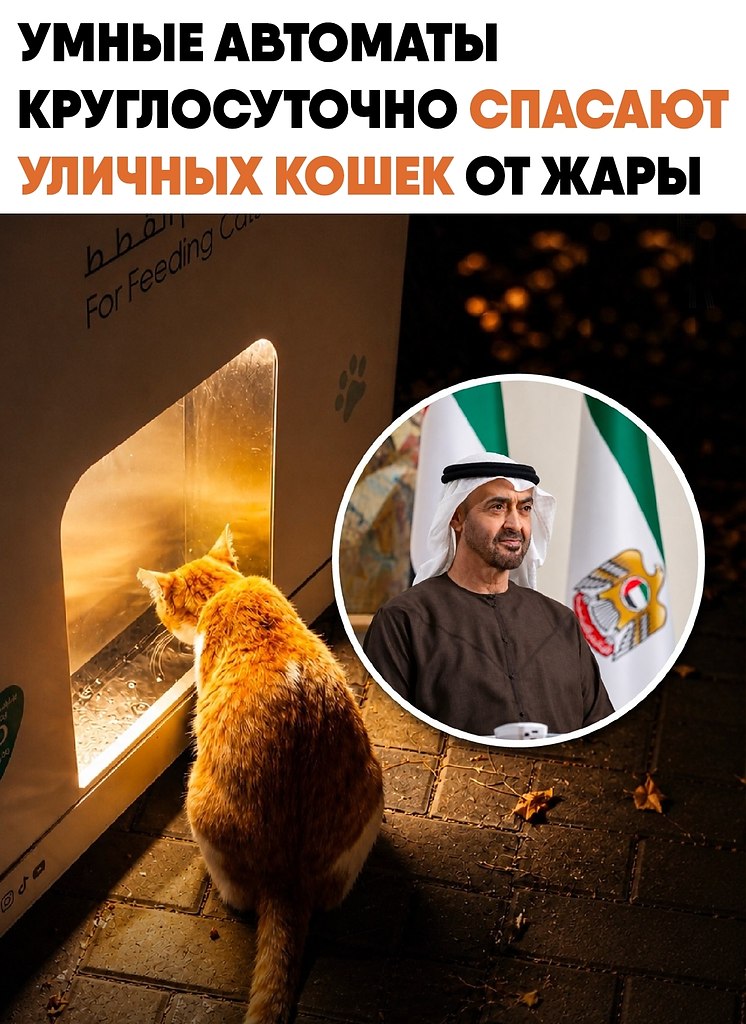 � ����� ���������� ����� �������� � ������������� �����������. �� ������ ������ ��������� ...
