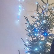 ��������, 39 ���, ������