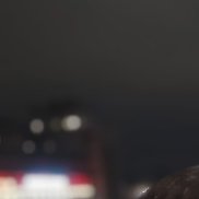 ��������, 53 ����, ������