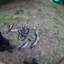���� ����, ������, 33 ���� - ��������� 12 ������ 2025 � ������ ���� ����������