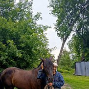 ������, 50 ���, ������