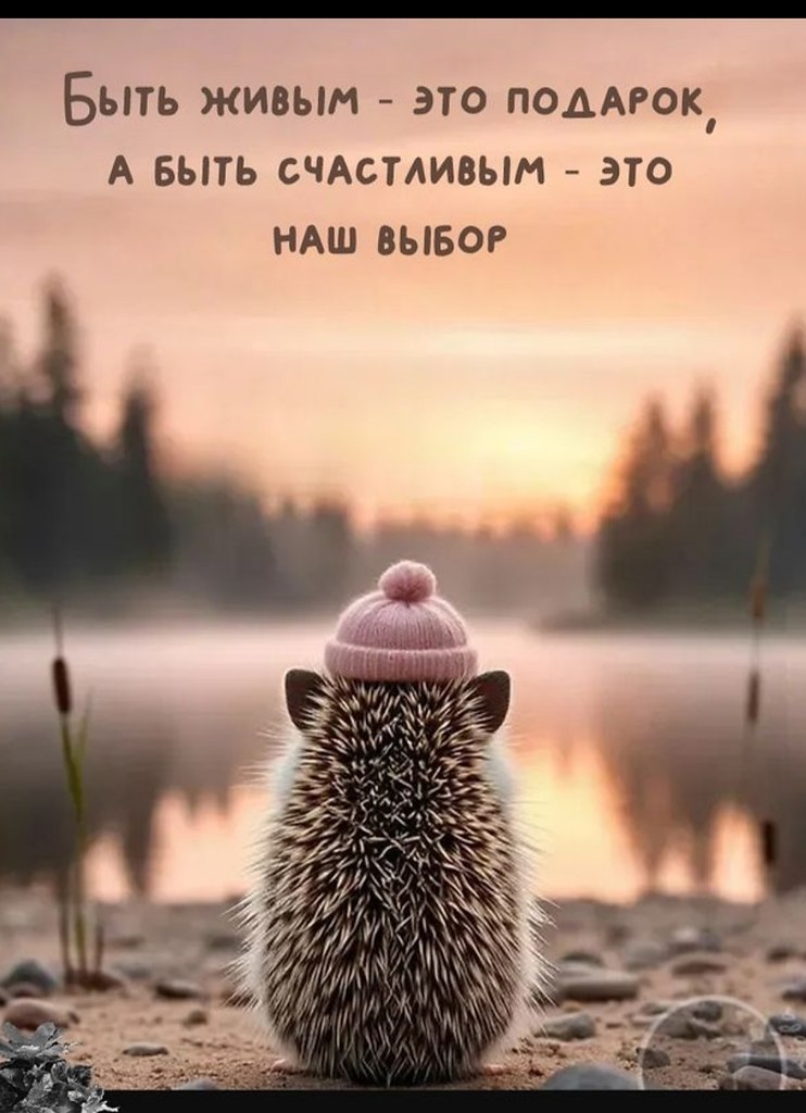   - 20  2025  02:14